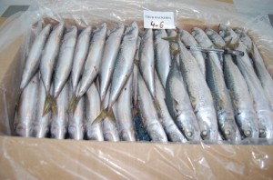 Seafood from Somalia